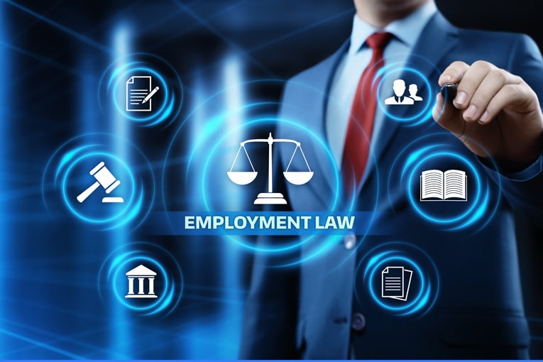 Employment Law image