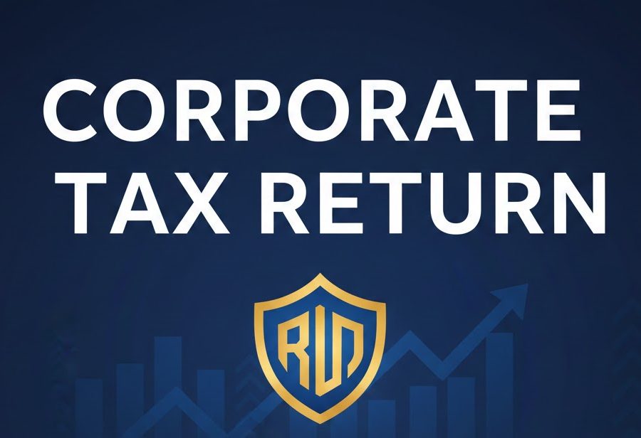 Corporate Tax Return image